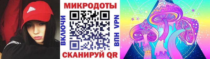 купить закладку  shop как зайти  Псилоцибиновые грибы ЛСД  Монино 