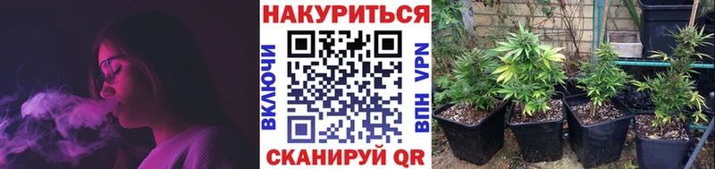 Конопля SATIVA & INDICA  Монино 